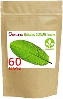 Organic Guava Leaves, Dried, (Pack of 60 Leaves).. Discover the convenience of one-stop shopping with hotep.ng, Nigeria's premier online marketplace. We bring you a curated selection of quality products at competitive prices. Enjoy our secure platform and excellent customer support.