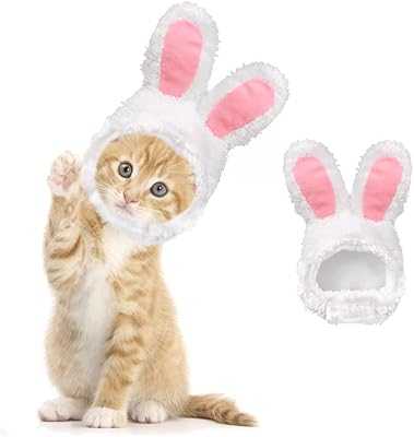 NewStyle Cute Cat Hat Adjustable Headband for Small Puppies Cats Dogs Teddy Cartoon Pet Hat Accessories for Halloween Christmas Easter (White Rabbit).. hotep.ng is revolutionizing the way Nigerians shop online. Benefit from our partnerships with top brands and local artisans for unbeatable variety. Enjoy exclusive deals and promotions available only to our loyal customers.