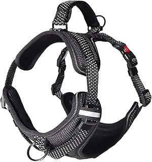 Los Andes Ultra Reflective No Pull Adjustable Dog Harness with Front Buckle, Safety Dog Vest with Handle, Easy Control Harness for Small Medium Large Dogs.. Welcome to hotep.ng, your one-stop shop for all things Nigerian! Discover a wide range of products from local artisans and international brands. Experience the convenience of online shopping with our user-friendly platform.