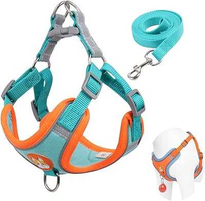 Beauty No Pull Dog Harness for Small Dogs, Adjustable Dog Harness with 2 Leash Clips, Easy Control Padded Harness, Reflective Puppy Harness and Leash (Size M, Blue).. Welcome to hotep.ng, your one-stop shop for all things Nigerian! Discover a wide range of products from local artisans and international brands. Experience the convenience of online shopping with our user-friendly platform.