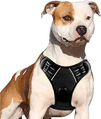 No Pull Dog Harness with 2 Leash Clips, Adjustable Soft Padded Vest, Reflective Oxford No Choke Vest with Easy Control Handle for Large Dogs (L).. hotep.ng is revolutionizing the way Nigerians shop online. Benefit from our partnerships with top brands and local artisans for unbeatable variety. Enjoy exclusive deals and promotions available only to our loyal customers.