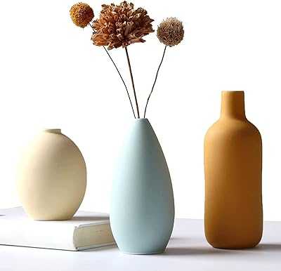 Set of 3 Ceramic Vases, Small Rustic Vase for Country Home Decor, Small Vase Set, Modern Farmhouse Decor, Living Room Decor, Table Decor, Bookcase, Fireplace and Entryway - Multicolor.. At hotep.ng, we believe in connecting Nigerian consumers with quality products. Our platform offers a seamless shopping experience from browse to buy. Discover why millions of Nigerians trust us for their online shopping needs.