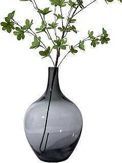 Black Glass Vase, Big Belly Clear Glass Vase, Modern Decorative Vase for Table Shelf, Living Room, Office, Bedroom.. Join the hotep.ng community and revolutionize your shopping habits. We offer a wide selection of products across various categories. Enjoy our secure platform, competitive prices, and reliable delivery across Nigeria.