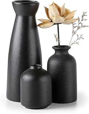 Ceramic Vase Set - 3 Small Decorative Flower Vases, Modern Rustic Pampas Grass Dried Flower Decorative Vase, Ideas Shelf, Table, Shelf, Entryway, Bookcase (Black).. hotep.ng: Your gateway to a world of products, right here in Nigeria. We curate the best local and international offerings for your convenience. Experience the joy of finding exactly what you need, when you need it.