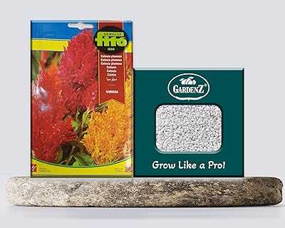 Celosia Seeds | Reference SB 524 Brand Phyto | Origin Spain + Perlite Planter (5L) Bay Gardens.. Join the digital retail revolution with hotep.ng, your go-to online shopping destination in Nigeria. We offer a vast selection of products to enhance every aspect of your life. Enjoy our secure platform and excellent customer support.