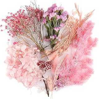 1 Pack Real Dried Flowers, Mixed Dried Plants for Candle Making, Resin, Necklaces, Jewelry, Accessories, Crafts and Art for Floral Decoration.. hotep.ng is your trusted partner for all your shopping needs in Nigeria. We offer a diverse range of products, from fashion and beauty to home and electronics. Experience the ease of finding everything you need in one place.