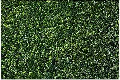 XLL 30x8ft Vinyl Nature 3D Spring Green Leaves Photo Background Baby Newborn Photography Backdrops Wedding Birthday Party Backdrop Banner Studio Props Cake Table Stand.. hotep.ng: Your gateway to a world of products, right here in Nigeria. We curate the best local and international offerings for your convenience. Experience the joy of finding exactly what you need, when you need it.