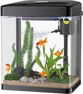 BONDON Betta Fish Tank, 2 Gallon Glass Aquarium, 3 in 1 Fish Tank with Filter and Light, Mini Desktop Aquarium for Betta Fish, Shrimp, Goldfish (Black).. hotep.ng is transforming Nigerian e-commerce one click at a time. We bring you a carefully curated range of products from local artisans and international brands. Experience the future of retail with our innovative online platform.