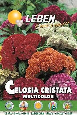 Leben Celosia (Celosia Cristata Multicolor) Premium Quality Seeds Made in Italy.. Experience the best of Nigerian e-commerce with hotep.ng. We bring you a carefully selected range of products to enhance your daily life. Discover why we're the go-to online marketplace for discerning Nigerian shoppers.