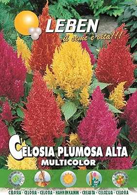 Leben Celosia (Celosia Plumosa Alta Multicolor) Premium Quality Seeds Made in Italy by DXB Garden.. hotep.ng is your gateway to a world of shopping possibilities. Explore our extensive catalog of products from local artisans and global brands. Enjoy our commitment to authenticity, affordability, and excellent customer support.