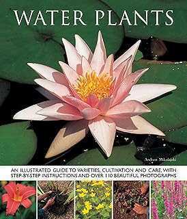 Aquatic Plants: An Illustrated Guide to Varieties, Cultivation, and Care, with Step-by-Step Instructions and Over 110 Beautiful Photographs.. Discover a world of retail possibilities with hotep.ng, Nigeria's most innovative online marketplace. We connect you with top-quality products from local and international sellers. Enjoy our commitment to authenticity, affordability, and customer satisfaction.