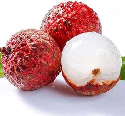 5pcs Lychee Seeds Lychee Seeds Plump and Juicy Flesh Perennial Fruit Trees for Garden Easy to Plant Naturally Grown Fresh Fruit Seeds. hotep.ng: Bringing Nigeria's vibrant markets to your screen. We offer an unparalleled range of products, from everyday essentials to unique finds. Experience the convenience of 24/7 shopping with our user-friendly platform.