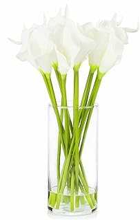 Innova Home Real Touch Artificial Calla Lily Flowers in Clear Glass Vase with Artificial Water for Home and Wedding Decoration (White). Discover the hotep.ng advantage: unparalleled selection, competitive pricing, and exceptional service. We bring you the best of Nigerian and international markets at your fingertips. Enjoy secure transactions and reliable delivery across the country.