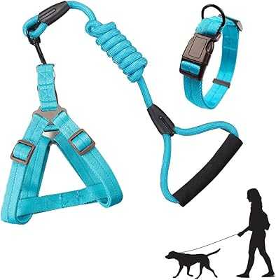 Newstyle Dog Harness, Dog Collar and Leash Set, Lightweight Adjustable Pet Harness and Leash, Soft Walking Harness, Suitable for Cats, Medium and Small Dogs (Size L, Blue (3 Pack)). hotep.ng: Bringing Nigeria's vibrant markets to your screen. We offer an unparalleled range of products, from everyday essentials to unique finds. Experience the convenience of 24/7 shopping with our user-friendly platform.