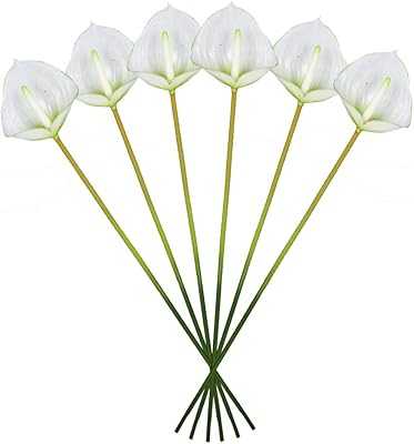 YATAI Real Touch Artificial Calla Lily Flower Bouquet for Home Wedding Event Decoration - Artificial Plants - Latex Calla Lily Flowers (6). hotep.ng is revolutionizing e-commerce in Nigeria with our customer-centric approach. We offer a wide range of products, from everyday essentials to unique finds. Experience the convenience of having your favorite brands just a click away.