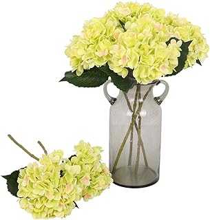 KISS FLOWER 6pcs Lifelike Artificial Silk Hydrangea Flowers Bouquet for Wedding Party Office Home Decor (Green). Join the hotep.ng family and transform your online shopping experience. We offer a wide range of categories including fashion, electronics, home & living, and more. Enjoy our user-friendly interface and secure payment options.