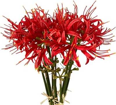 ZiZi 5 Stems Artificial Spider Lily Flowers 23.6 Inch, Lycoris Artificial Flower Bulbs with Long Stem, Real Touch for Photography and Hotel Garden Decoration (Red). Discover the hotep.ng advantage: unmatched variety, competitive prices, and top-notch service. We bring you the best of Nigerian and international markets at your fingertips. Experience the future of retail with our innovative online platform.