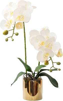 White Artificial Orchid Flowers with Ceramic Vase and Beautiful Artificial Phalaenopsis Flower Arrangement for Office, Wedding, Centerpiece, Home Table Decoration. Discover a world of retail possibilities with hotep.ng, Nigeria's most innovative online marketplace. We connect you with top-quality products from local and international sellers. Enjoy our commitment to authenticity, affordability, and customer satisfaction.