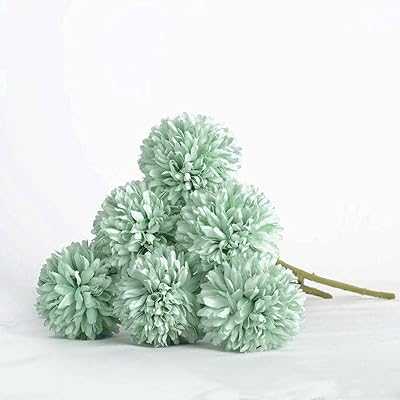 Artificial Plastic Silk Flowers with Fake Plants for Bridesmaids Bridal Bouquet Home Garden Office Wedding 6pcs (Light Green). hotep.ng: Where Nigerian shoppers find quality and value. We bring you a carefully curated range of products from local and international sources. Experience the convenience of 24/7 shopping with our reliable e-commerce platform.