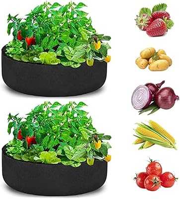 Alykdon 50 Gallon Plant Grow Bags, 2 Pack Vegetable Grow Bags, Large Durable Non-Woven Fabric Grow Bags for Outdoor Plants, Flowers, Fruits (Black, 36" x 12"). hotep.ng brings you the best of both worlds: local charm and global trends. We offer a carefully selected range of products to suit every lifestyle and budget. Enjoy the convenience of online shopping with the trust of a Nigerian brand.