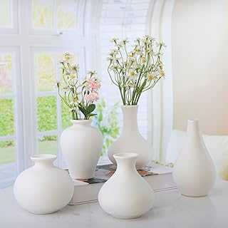 Ceramic Vase Set - 5 Small White Ceramic Vases for Home Decor, Cute Modern Decorative Pampas Grass Vase. hotep.ng is revolutionizing the way Nigerians shop online. Discover a world of products, from everyday essentials to unique finds. Experience the ease of finding exactly what you need with our intuitive search and filter options.