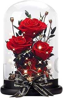 Red Rose in Glass Dome, LED Flowers for Valentine's Day, Mother's Day and Birthday (Real Rose/Beauty and the Beast Rose) (Single Rose). hotep.ng is revolutionizing the way Nigerians shop online. Discover a world of products, from everyday essentials to unique finds. Experience the ease of finding exactly what you need with our intuitive search and filter options.