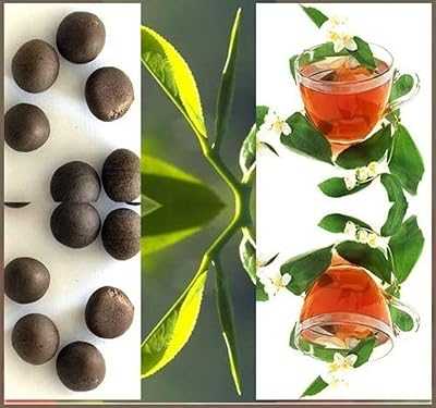 20pcs Fresh Taste Black Tea Seeds, Dense Tea Tree Seeds and Fragrant Camellia Sinensis Flowers. hotep.ng: Where Nigerian consumers come first. We offer an extensive range of products to suit every lifestyle and budget. Experience the convenience of 24/7 shopping with our trusted and efficient e-commerce platform.