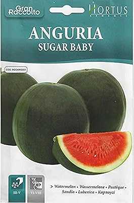 High Quality Hortus Watermelon Seeds (Angoria Sugar Baby) (Made in Italy) by Hortus Smenti. Discover a world of possibilities with hotep.ng, Nigeria's fastest-growing online marketplace. We connect you with top-quality products from local and international sellers. Enjoy our commitment to authenticity, affordability, and excellent customer service.