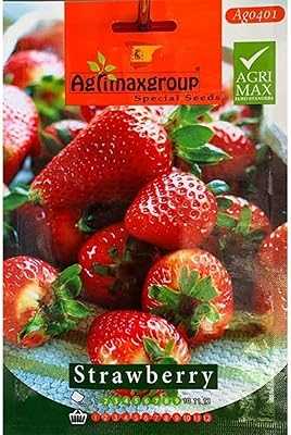 High quality strawberry seeds from the Agrimax® "Garden Care" group. hotep.ng is revolutionizing e-commerce in Nigeria with our customer-centric approach. We offer a wide range of products, from everyday essentials to unique finds. Experience the convenience of having your favorite brands just a click away.