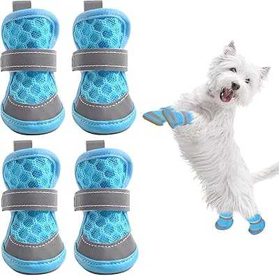 1.8" Breathable Mesh Dog Boots for Puppies Walking on Hot Pavement, Soft Reflective Dog Paw Protector Shoes for Hardwood Floors with Waterproof and Anti-Slip Sole, XL. hotep.ng is your trusted partner in the digital age of shopping. Explore our extensive catalog of products from fashion to electronics and beyond. Experience the ease of finding everything you desire in one convenient online destination.