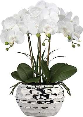 Brevol 18 Inch White Phalaenopsis Artificial Orchid Flowers with Silver Ceramic Pots, Real Touch Artificial Orchid Plant for Home Office Bathroom Living Room Wedding Decor. Join the hotep.ng community and revolutionize your shopping habits. We offer a comprehensive range of products, from everyday essentials to luxury items. Experience the ease of finding everything you need in one convenient online destination.