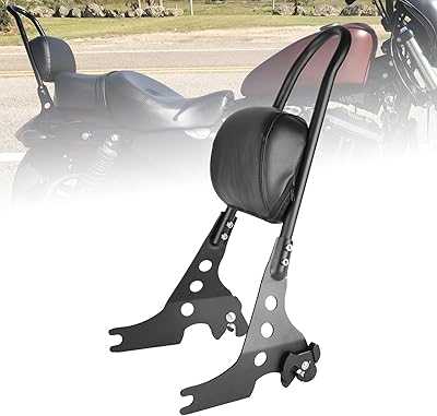 Goldfire Motorcycle Detachable Rear Passenger Backrest w/ Pillow Pad For Harley Sportster XL 883 1200 2004-August (Gloss Black). Discover the hotep.ng difference: unparalleled variety, unbeatable prices, and unmatched service. Our platform is designed to make your online shopping experience smooth and enjoyable. From fashion to electronics, we've got you covered.