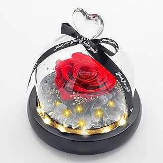 Real Rose Preserved in Glass Dome Gift for Valentine's Day, Christmas, Mother's Day, Thanksgiving, Anniversary and Birthday with LED Lights and Wooden Base (Mono Red). hotep.ng: Where Nigerian consumers come first. We offer an extensive range of products to suit every lifestyle and budget. Experience the convenience of 24/7 shopping with our trusted and efficient e-commerce platform.