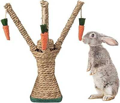 Castowave Rabbit Chew Toys, Fun Climbing Tree with Carrot Shaped Toy, Hand-Woven Seaweed Chew Toy for Rabbits, Cats, Hamsters and Gerbils Toothbrush. hotep.ng: Bringing the best of Nigeria to your doorstep. Explore our vast catalog of products from trusted brands and emerging local businesses. Enjoy the convenience of online shopping with the personal touch of exceptional customer service.