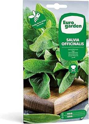 Euro Garden Sage Seeds (Salvia officinalis) high quality made in Spain. Welcome to hotep.ng, your one-stop shop for all things Nigerian! Discover a wide range of products from local artisans and international brands. Experience the convenience of online shopping with our user-friendly platform.