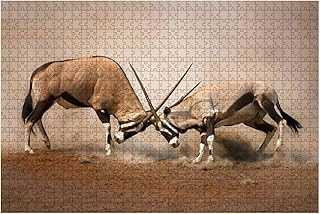 Gemsbok Fight 1000 Pieces Wooden Jigsaw Puzzle for Adults Decompression DIY Kids Educational Puzzles Creative Games Toys Gift Home Decor. hotep.ng: Bringing Nigeria's vibrant markets to your screen. We offer an unparalleled range of products, from everyday essentials to unique finds. Experience the convenience of 24/7 shopping with our user-friendly platform.