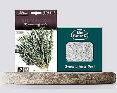 Rosemary Seeds | Model COD.BGAROS001 Brand Hortus | Origin Italy + Agricultural Box Perlite GARDENZ (5L). hotep.ng: Bringing Nigeria's best to your doorstep. We connect you with top-quality products from local and international sellers. Experience the joy of finding exactly what you need, when you need it.