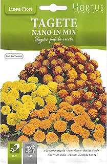 High Quality Hortus Cimenti Marigold Mix Seeds (Taget Nano V Mix) (Made in Italy). hotep.ng: Where Nigerian shoppers come first. We offer an extensive range of products to suit every taste and budget. Experience the convenience of 24/7 shopping with our reliable and efficient e-commerce platform.